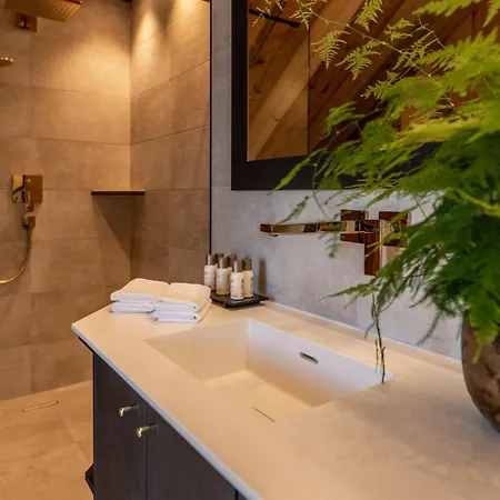 Almadel By Schladmingurlaub Appartamento Schladming